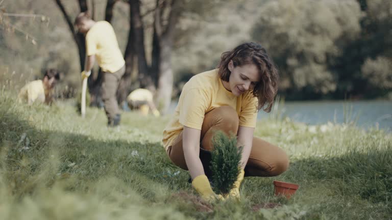 Lawn Drainage Solutions in Wilder, KY