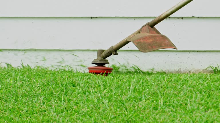 Best Aeration Services  in Wilder, KY